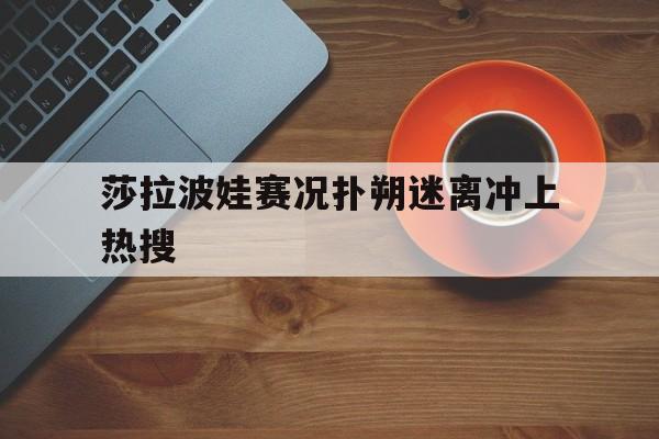 莎拉波娃赛况扑朔迷离冲上热搜(萨巴伦卡澳网战袍致敬小威和莎娃)|